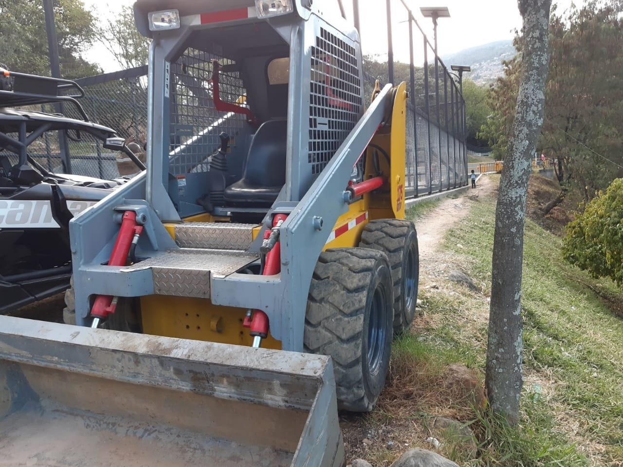 Bobcat – Thomas