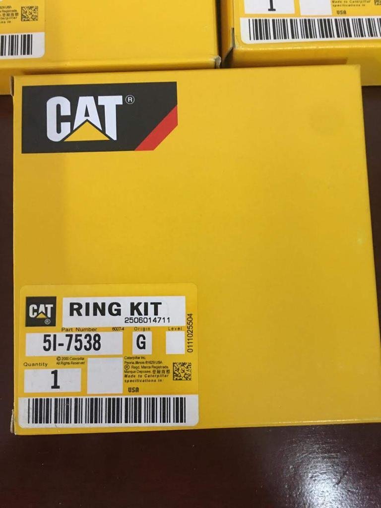 Liner kit Caterpillar 3066, foto 7